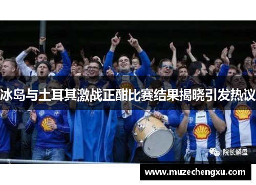 冰岛与土耳其激战正酣比赛结果揭晓引发热议