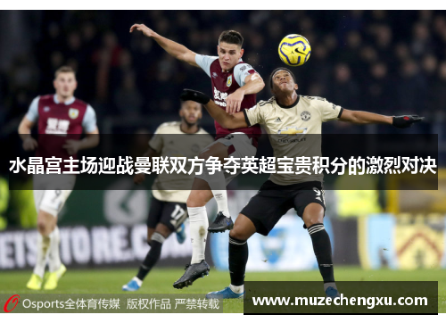 水晶宫主场迎战曼联双方争夺英超宝贵积分的激烈对决